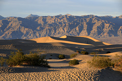 Mesquite Flat Sand Dunes