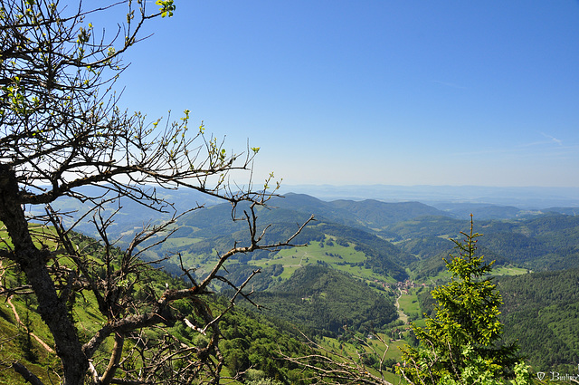 (fast) endlose Aussicht (© Buelipix)