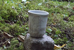 vdf 199 Pas de bol (09)