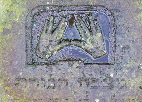 novo sephardi cemetery, mile end, london (21)