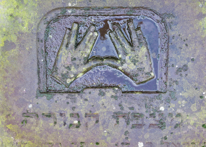 novo sephardi cemetery, mile end, london (21)