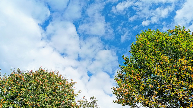 Looking at the sky and clouds