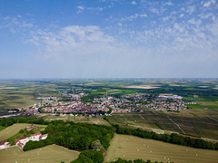 Vertus (marne)