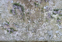 ross-on-wye churchyard, herefs.