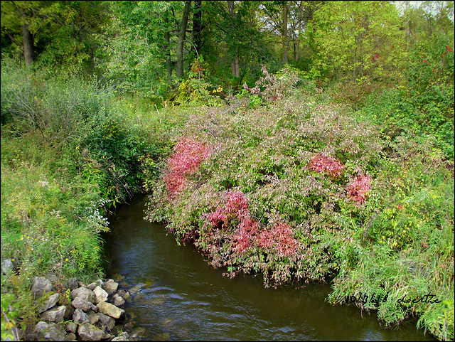 Stoney Creek on the north side of the park