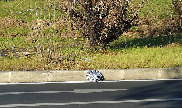 The car left a sock behind