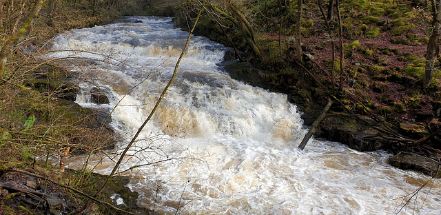 Neath Valley Waterfalls