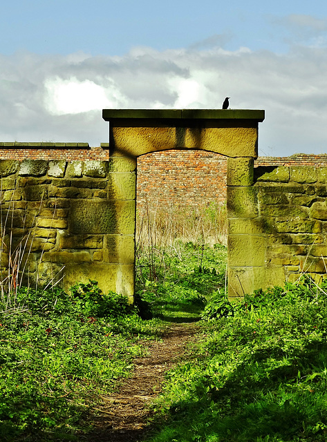 Walled Garden and Bird