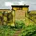 Walled Garden and Bird