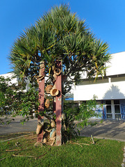 DSC06581 - escultura e pinhão-de-Madagascar Pandanus utilis, Pandanaceae
