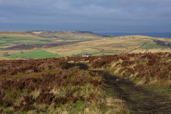 Cown Edge from Lantern Pike