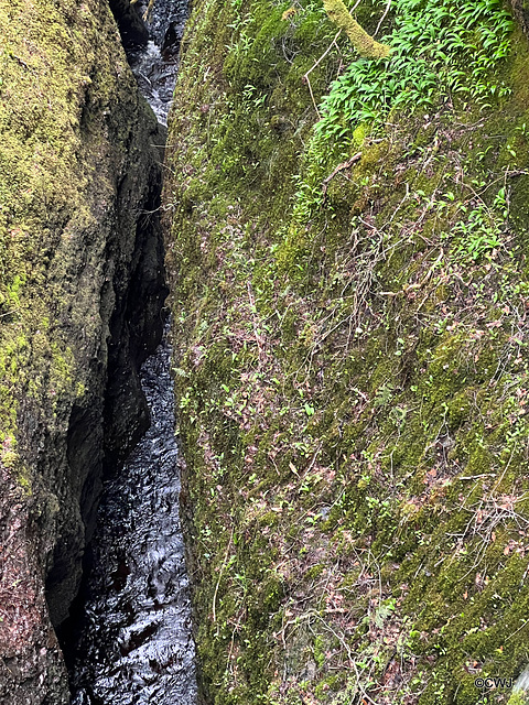 Black Rock Gorge - 40 metres deep