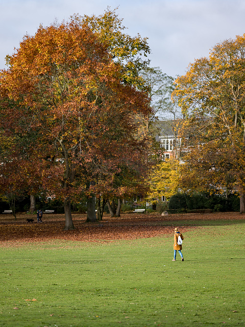 A walk in the park