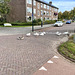 Geese blocking the road