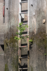 Hamburgtreffen 2025 - Fahrt mit der Maritime Circle Line am 27.04.2025