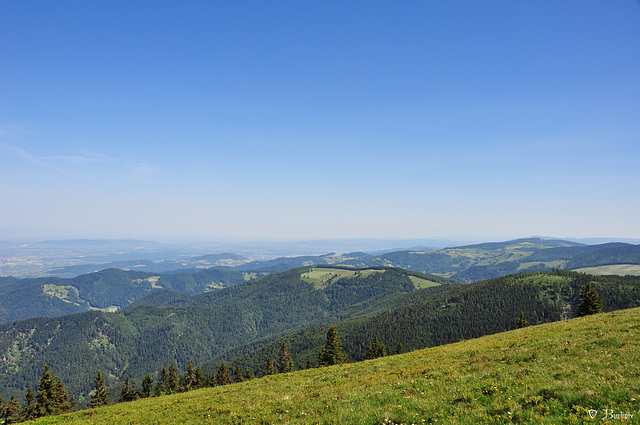 Belchen - Blick in Richtung Norden (© Buelipix)