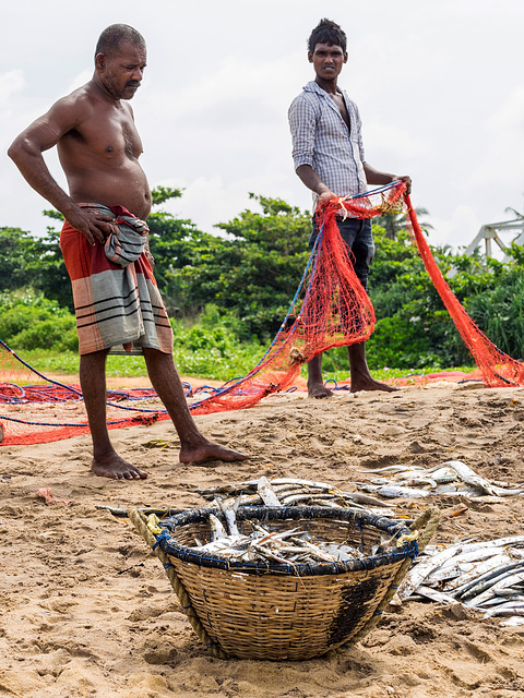 Sri Lankan traditional fishing, Wadduwa