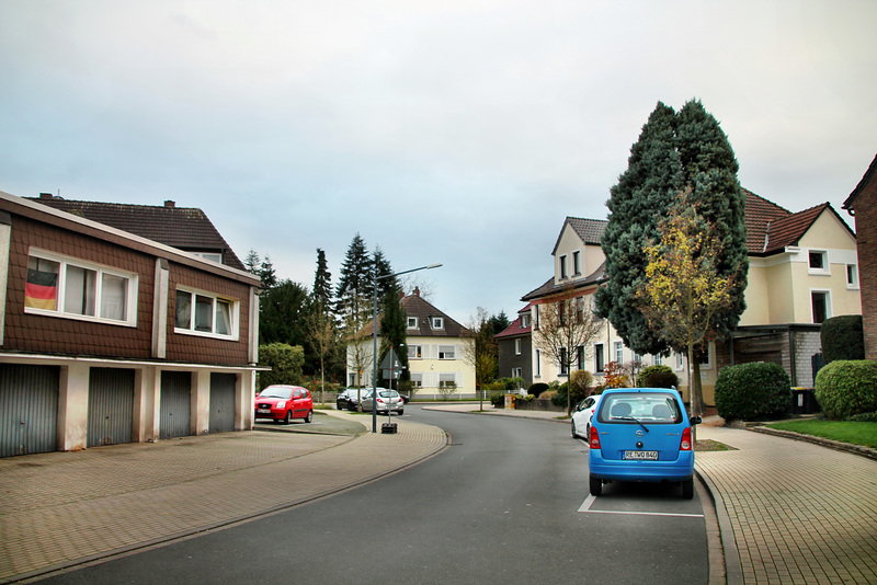 Im Stübken (Herten-Westerholt) / 21.11.2020