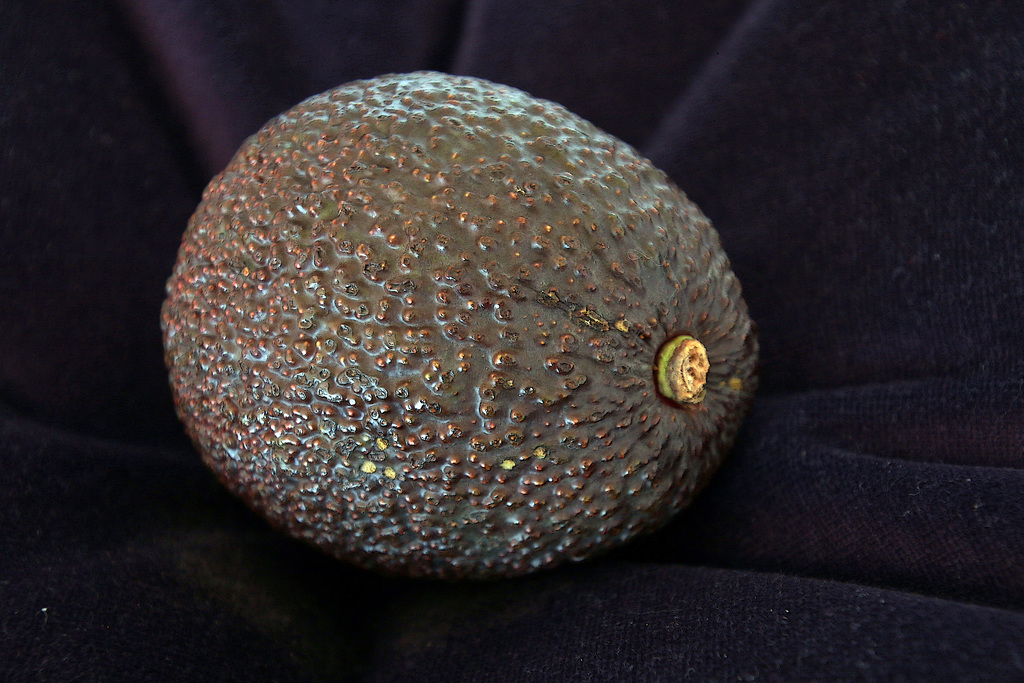 Je vous présente mon avocat , qui l'eût cru !