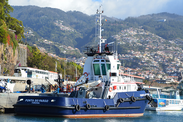 PONTA DO PARCO in Funchal Madeira