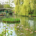 Giverny XVI