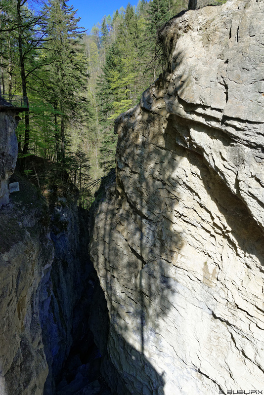 Rappenlochschlucht (© Buelipix)