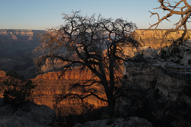 Grand Canyon, Sunset