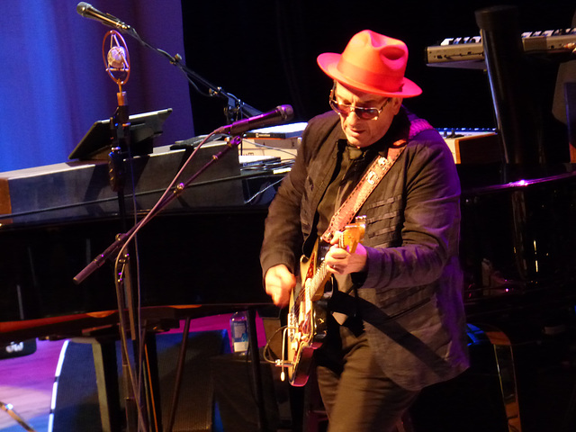 Elvis Costello