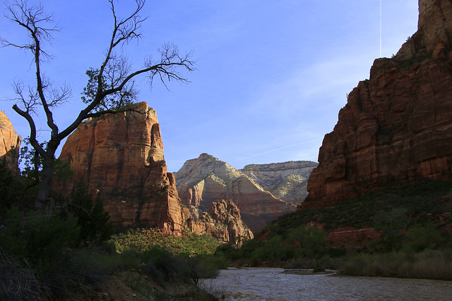 Angel's Landing