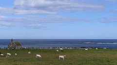 Deerness - St Ninian