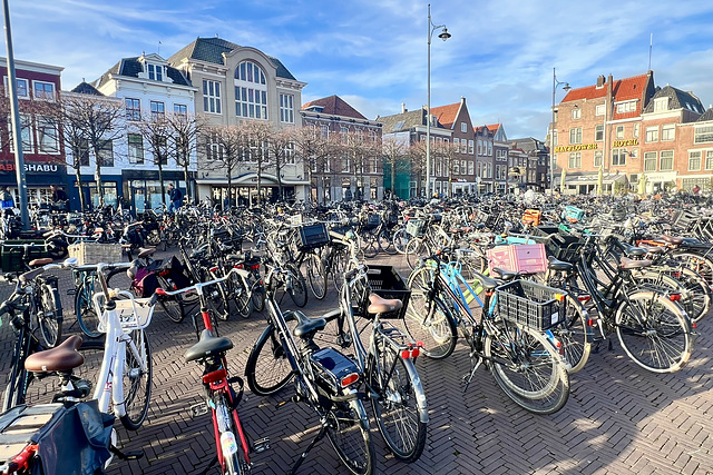 Beestenmarkt