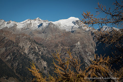 Adula / Rheinwaldhorn 3402 m.