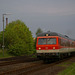 BÖ0026585