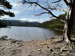 Loch an Eilein near Rothiemurchus