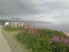 Nature sauvage et brumeuse du Labrador