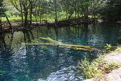 Dominican Republic, Blue Lake (Lago Azul) in the Jungle of Eastern Haiti