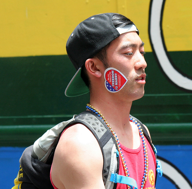 San Francisco Pride Parade 2015 (7042)