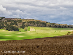 Countryside contrasts