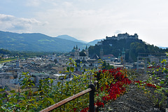 Der Zaun in Salzburg und Hohensalzburg