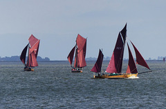 Zeesboot-Regatta (3xPiP)