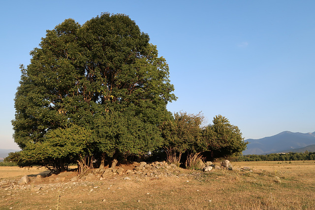 Site of a ruined church