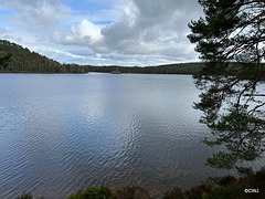 Loch an Eilein near Rothiemurchus