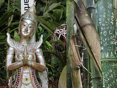 Peace and Tranquility Peace and Tranquility