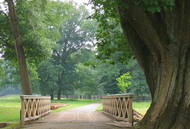 A Walk in the Park I