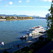 DE - Bonn - View of the Rhine