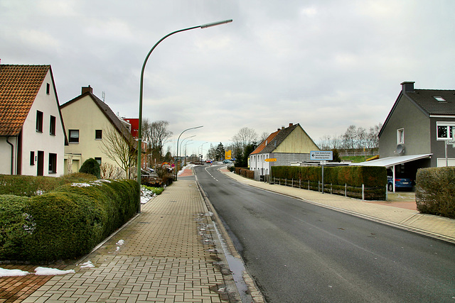 Kleine Werlstraße (Hamm-Wiescherhöfen) / 3.02.2019