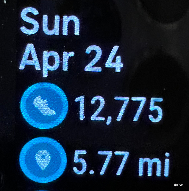 Fitbit tracker for Black Rock Gorge Walk