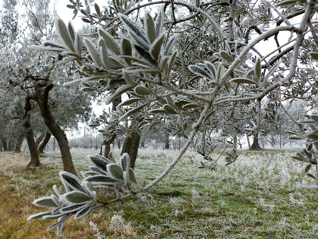 Umbria