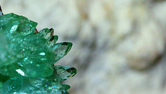 Apophyllite verte