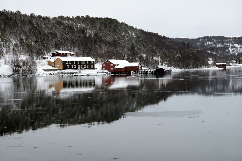 Mestervik